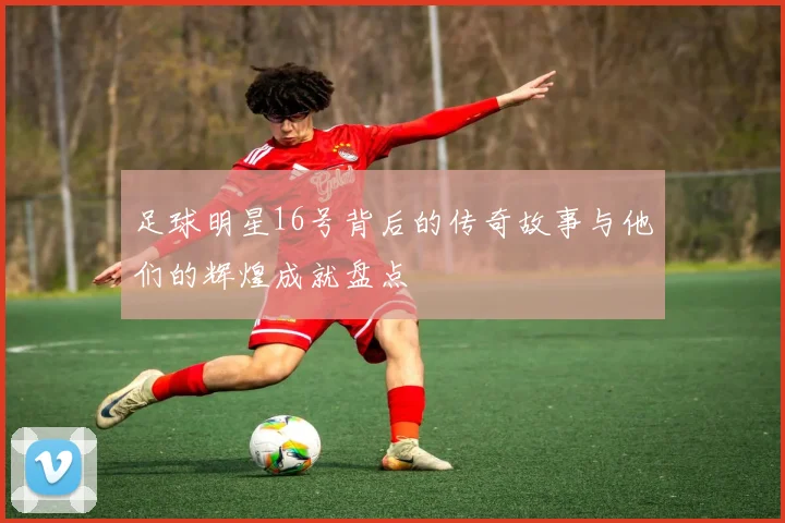 足球明星16号背后的传奇故事与他们的辉煌成就盘点