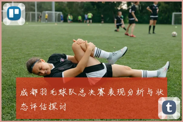 成都羽毛球队总决赛表现分析与状态评估探讨
