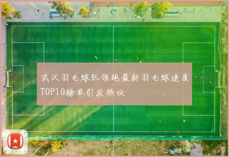 武汉羽毛球队领跑最新羽毛球速度TOP10榜单引发热议