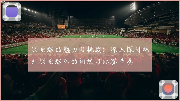 羽毛球的魅力与挑战：深入探讨杭州羽毛球队的训练与比赛节奏