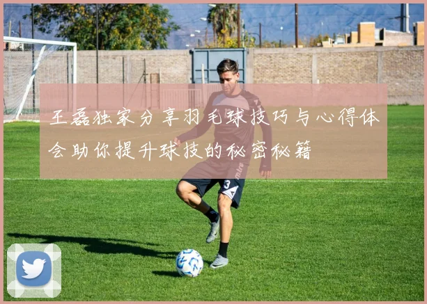 王磊独家分享羽毛球技巧与心得体会助你提升球技的秘密秘籍