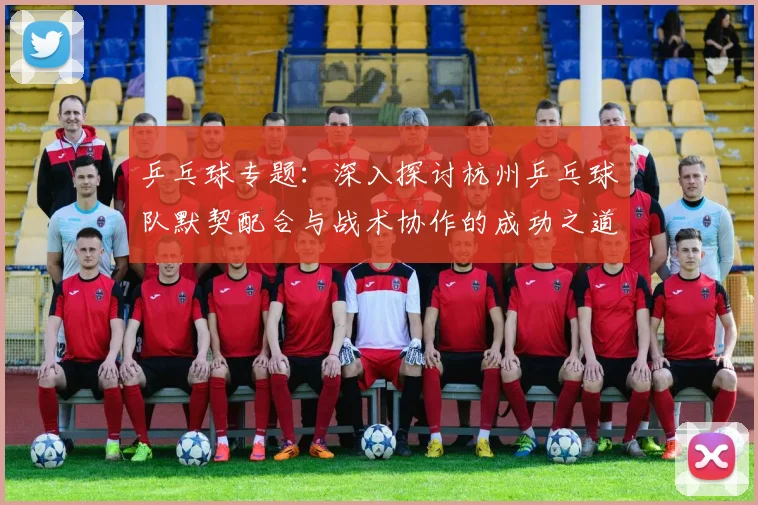 乒乓球专题：深入探讨杭州乒乓球队默契配合与战术协作的成功之道