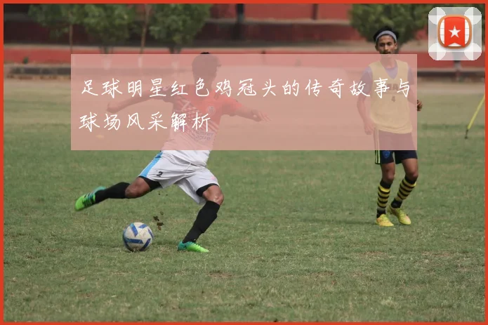 足球明星红色鸡冠头的传奇故事与球场风采解析