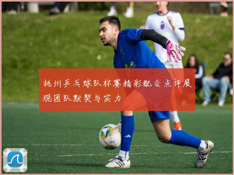杭州乒乓球队杯赛精彩配合点评展现团队默契与实力