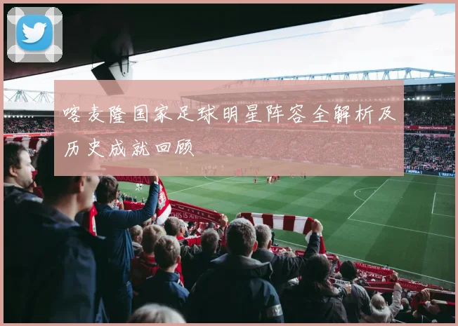 喀麦隆国家足球明星阵容全解析及历史成就回顾