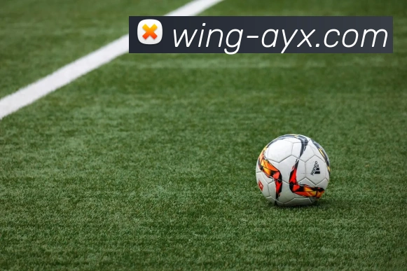 爱游戏发展历程