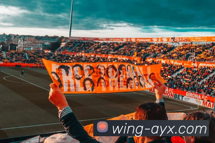 深圳乒乓球队整体压制打法解析与战术优势探讨